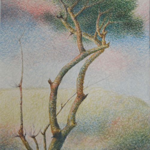 LANDSCAPE